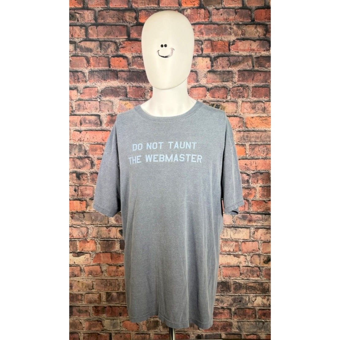Do Not Taunt The Webmaster Comfort Colors Shirt